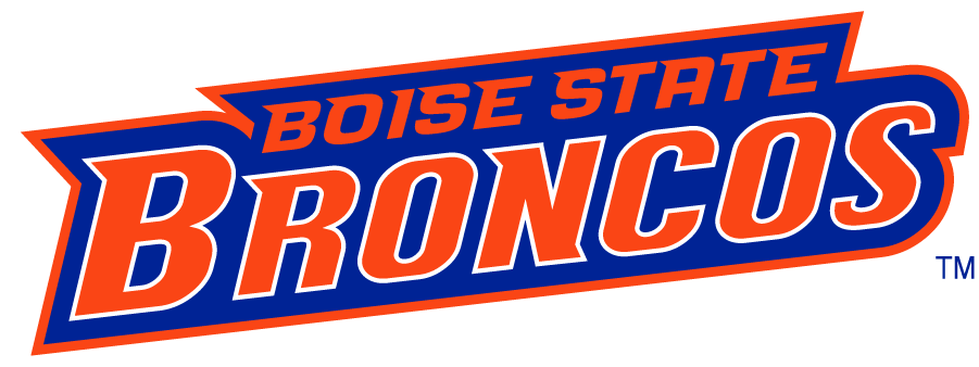 Boise State Broncos 2002-2012 Wordmark Logo v5 DIY iron on transfer (heat transfer)